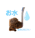 ちろりんのわくわくスタンプPart2（個別スタンプ：12）