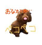ちろりんのわくわくスタンプPart2（個別スタンプ：17）