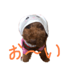 ちろりんのわくわくスタンプPart2（個別スタンプ：21）