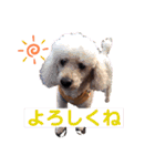 ちろりんのわくわくスタンプPart2（個別スタンプ：22）