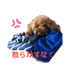 ちろりんのわくわくスタンプPart2（個別スタンプ：25）