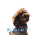 ちろりんのわくわくスタンプPart2（個別スタンプ：40）