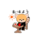 レッサーパンダ（日常）スタンプ（個別スタンプ：9）