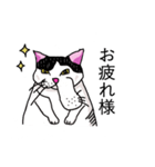 鼻の下の膨らみが進化した猫アポロンと奏（個別スタンプ：2）