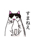 鼻の下の膨らみが進化した猫アポロンと奏（個別スタンプ：3）