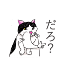 鼻の下の膨らみが進化した猫アポロンと奏（個別スタンプ：4）