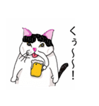鼻の下の膨らみが進化した猫アポロンと奏（個別スタンプ：7）