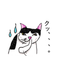 鼻の下の膨らみが進化した猫アポロンと奏（個別スタンプ：8）