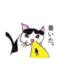鼻の下の膨らみが進化した猫アポロンと奏（個別スタンプ：9）