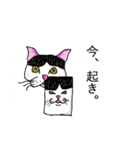 鼻の下の膨らみが進化した猫アポロンと奏（個別スタンプ：10）