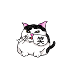 鼻の下の膨らみが進化した猫アポロンと奏（個別スタンプ：11）