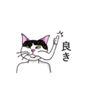 鼻の下の膨らみが進化した猫アポロンと奏（個別スタンプ：12）