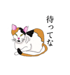 鼻の下の膨らみが進化した猫アポロンと奏（個別スタンプ：16）