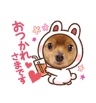 ♡ポメマルのモカくん♡4（個別スタンプ：11）