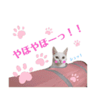 【親子猫】おはぎちゃんとたまちゃん♪（個別スタンプ：4）