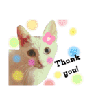 【親子猫】おはぎちゃんとたまちゃん♪（個別スタンプ：9）