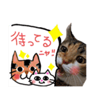 【親子猫】おはぎちゃんとたまちゃん♪（個別スタンプ：18）