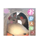 【親子猫】おはぎちゃんとたまちゃん♪（個別スタンプ：23）