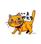 ねこてゃん(ぺそ丸ズ)（個別スタンプ：5）