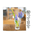 【花の写真】お仕事に使えるスタンプ（個別スタンプ：4）