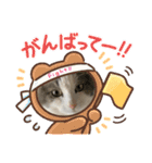 我が家の猫（part10）（個別スタンプ：12）