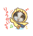 我が家の猫（part10）（個別スタンプ：13）