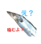 K K丸（個別スタンプ：1）