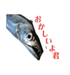 K K丸（個別スタンプ：9）