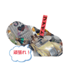 ぱぴぱぴパピヨン10（個別スタンプ：22）