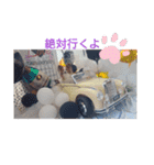 ぱぴぱぴパピヨン10（個別スタンプ：29）