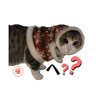 ゆきんこ福ちゃんと仲間たち(笑)（個別スタンプ：1）