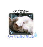 ゆきんこ福ちゃんと仲間たち(笑)（個別スタンプ：8）