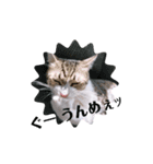 ゆきんこ福ちゃんと仲間たち(笑)（個別スタンプ：9）