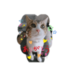 ゆきんこ福ちゃんと仲間たち(笑)（個別スタンプ：11）
