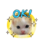 トラチワちゃん♡♪♪（個別スタンプ：1）