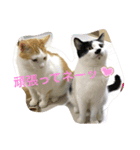 トラチワちゃん♡♪♪（個別スタンプ：4）