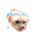 むーるくん（個別スタンプ：1）