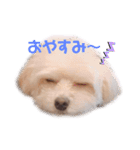 むーるくん（個別スタンプ：2）