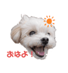 むーるくん（個別スタンプ：3）