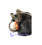 ハクメロ2+（個別スタンプ：3）