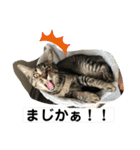 ハクメロ2+（個別スタンプ：5）