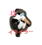 ハクメロ2+（個別スタンプ：7）