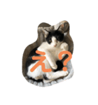 ハクメロ2+（個別スタンプ：15）