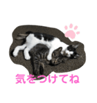 ハクメロ2+（個別スタンプ：18）