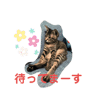 ハクメロ2+（個別スタンプ：20）