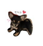 あらんちゃんの日常★✩.*˚（個別スタンプ：27）