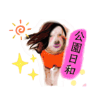 我が家のかわいいコたち②（個別スタンプ：14）