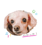 我が家のかわいいコたち②（個別スタンプ：21）