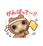 我が家のかわいいコたち②（個別スタンプ：22）