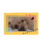 我が家のかわいいコたち②（個別スタンプ：29）